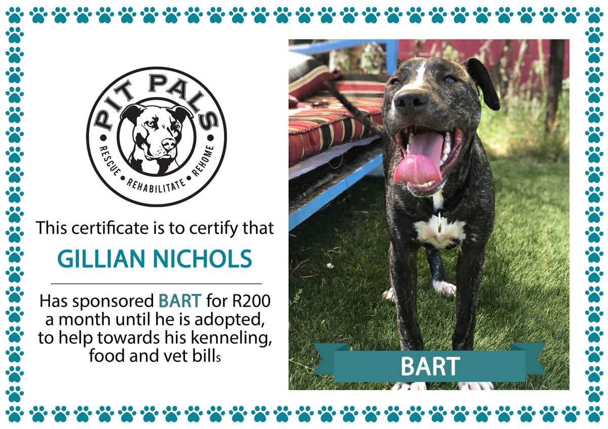 Sponsor a Pit Pal dog
