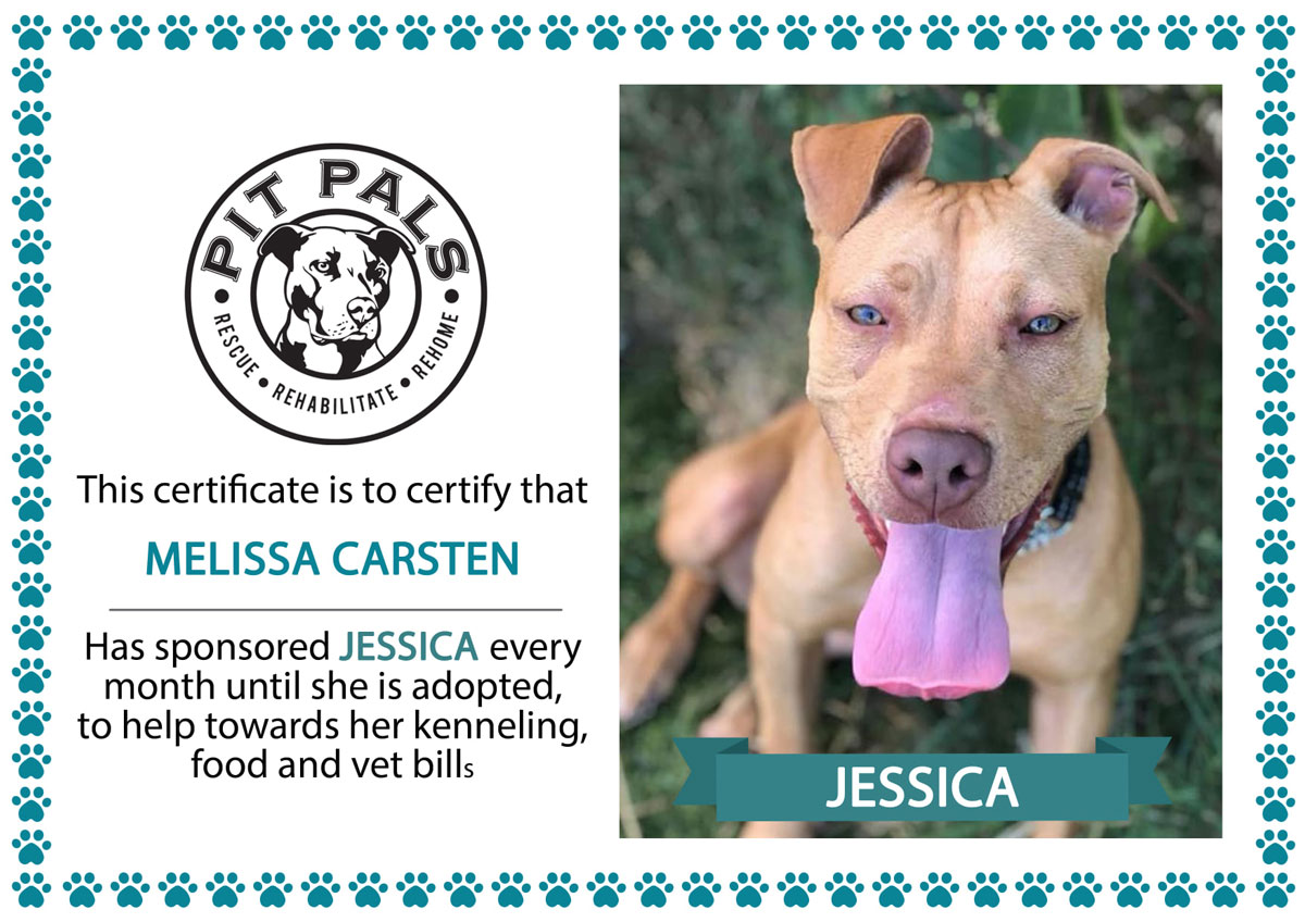 Sponsor a Pit Pal dog