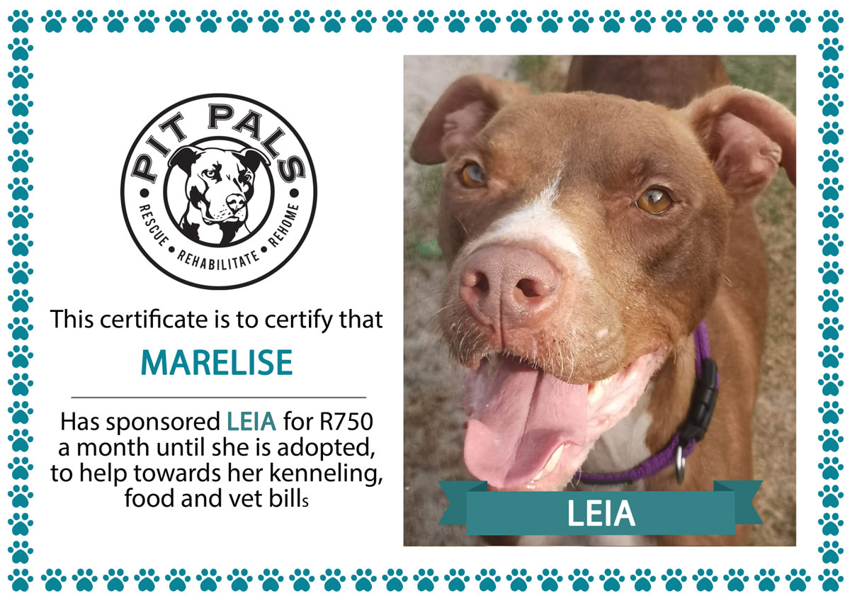 Sponsor a Pit Pal dog