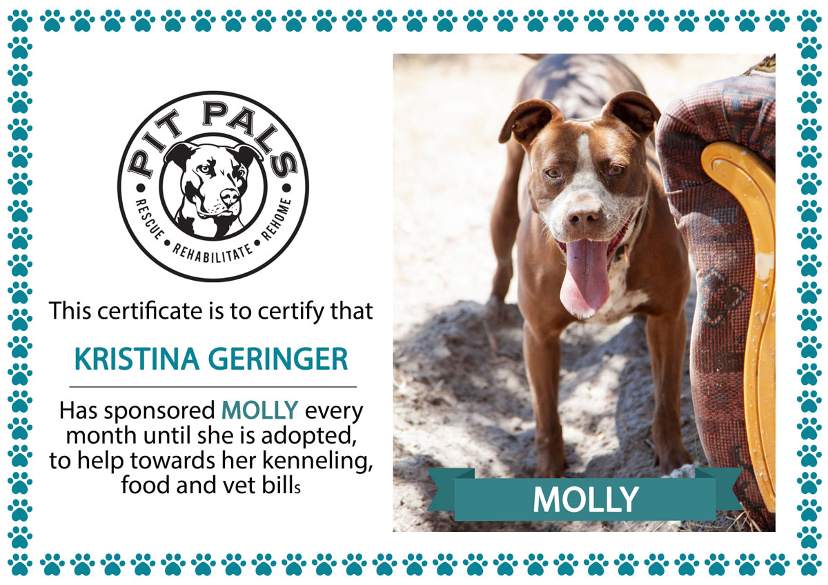 Sponsor a Pit Pal dog